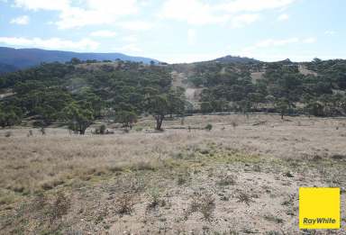 Farm For Sale - NSW - Bredbo - 2626 - I can see clearly now...  (Image 2)