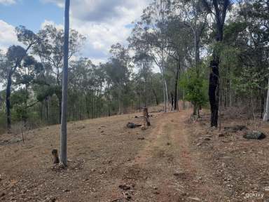 Farm For Sale - QLD - Nearum - 4671 - Freehold Cattle Grazing or Lifestyle Block  (Image 2)