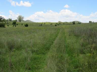 Farm For Sale - NSW - Bingara - 2404 - Water….Feed !!!!  (Image 2)