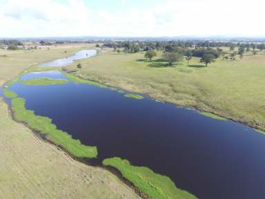 Farm For Sale - NSW - Fairy Hill - 2470 - “Fairy Hill Station” North Coast Of NSW  (Image 2)