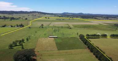 Farm For Sale - NSW - Fairy Hill - 2470 - “Fairy Hill Station” North Coast Of NSW  (Image 2)