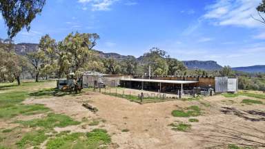 Farm For Sale - NSW - Glen Davis - 2846 - Expansive Rural Escape – 88 Mortimers Road, Glen Davis  (Image 2)