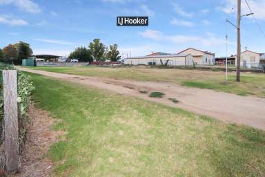 Farm For Sale - NSW - Inverell - 2360 - Prime Investment Opportunity with DA Approval  (Image 2)