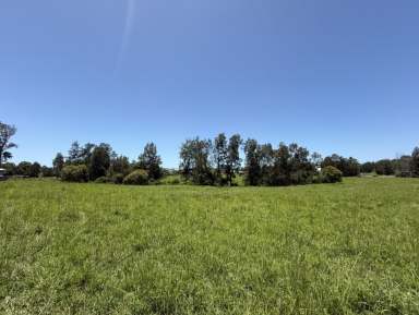 Farm For Sale - NSW - South Grafton - 2460 - 6600 sqm FARM OR INDUSTRIAL USE LAND IN TOWN  (Image 2)