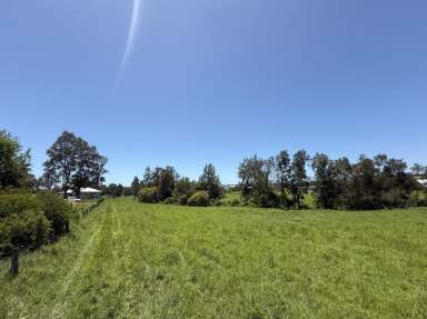 Farm For Sale - NSW - South Grafton - 2460 - 6600 sqm FARM OR INDUSTRIAL USE LAND IN TOWN  (Image 2)