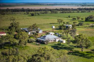 Farm Auction - QLD - Irvingdale - 4404 - First Class Mixed Farming Opportunity!  (Image 2)