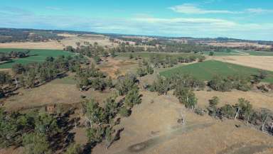 Farm For Sale - NSW - Rob Roy - 2360 - Clifton  (Image 2)