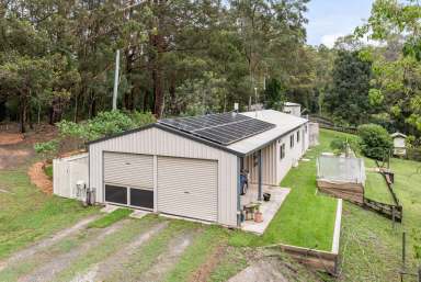 Farm For Sale - QLD - Crohamhurst - 4519 - Escape to the Country…  (Image 2)