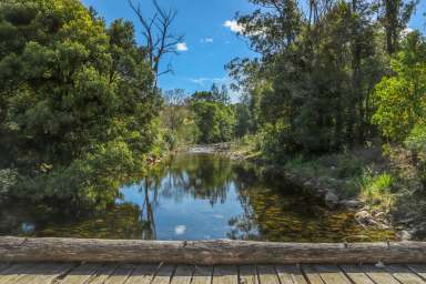 Farm For Sale - NSW - Dungog - 2420 - Unique Rural River Frontage  (Image 2)