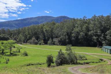 Farm For Sale - NSW - Dungog - 2420 - Unique Rural River Frontage  (Image 2)