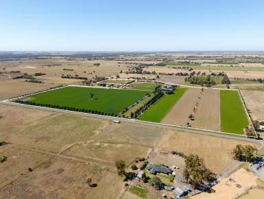 Farm For Sale - VIC - Echuca - 3564 - Country Living - Edge of Town  (Image 2)