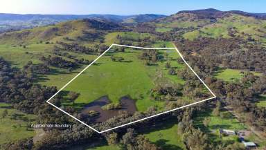 Farm For Sale - VIC - Violet Town - 3669 - "The Long Gully Paddock" - A perfect place to start your country life.  (Image 2)