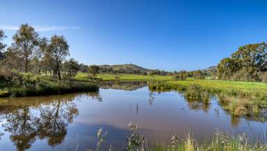 Farm For Sale - VIC - Violet Town - 3669 - "The Long Gully Paddock" - A perfect place to start your country life.  (Image 2)