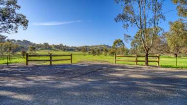 Farm For Sale - VIC - Violet Town - 3669 - "The Long Gully Paddock" - A perfect place to start your country life.  (Image 2)