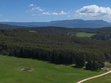 Farm For Sale - TAS - Quamby Brook - 7304 - Early Rises  (Image 2)