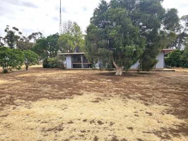 Farm Sold - VIC - Donald - 3480 - Lifestyle Property  (Image 2)