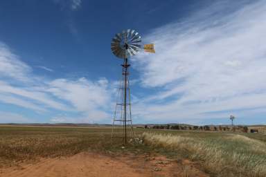 Farm For Sale - SA - Belalie East - 5491 - "MICKS" Jamestown & Belalie East  (Image 2)