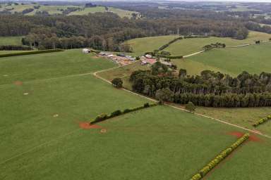 Farm For Sale - TAS - Mengha - 7330 - "Ben Bullen"  (Image 2)