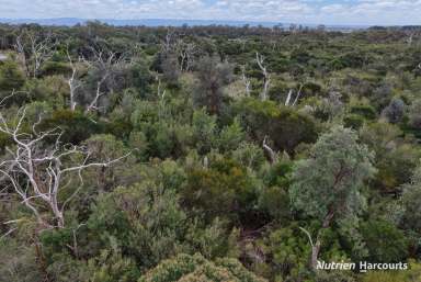 Farm For Sale - VIC - Langsborough - 3971 - Building Bush Block  (Image 2)