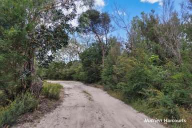 Farm For Sale - VIC - Langsborough - 3971 - Building Bush Block  (Image 2)