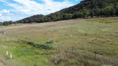 Farm For Sale - NSW - Sandy Hollow - 2333 - 133 Acres with a Dwelling Entitlement  (Image 2)