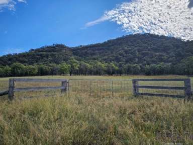 Farm For Sale - NSW - Sandy Hollow - 2333 - 133 Acres with a Dwelling Entitlement  (Image 2)