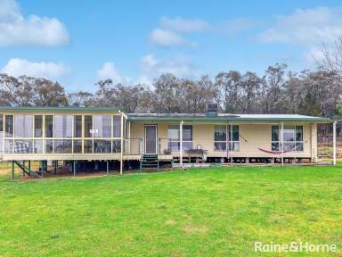 Farm For Sale - NSW - Grenfell - 2810 - Have you considered the many benefits of living on small acreage close to town  (Image 2)