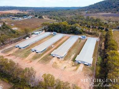 Farm Sold - QLD - Mareeba - 4880 - Enjoy a Thriving Chicken Farm Business & Quality Lifestyle in North Queensland  (Image 2)