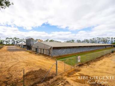 Farm Sold - QLD - Mareeba - 4880 - Enjoy a Thriving Chicken Farm Business & Quality Lifestyle in North Queensland  (Image 2)