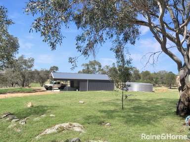 Farm For Sale - NSW - Grenfell - 2810 - Secluded acreage 109B Simpson Drive only 10 minutes from Grenfell  (Image 2)