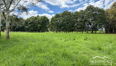 Farm For Sale - QLD - Atherton - 4883 - Private I Lifestyle I Location  (Image 2)