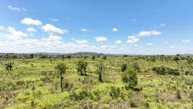 Farm For Sale - QLD - Theodore - 4719 - 'Green Yards' Scotts Road, Theodore Qld 4719  (Image 2)