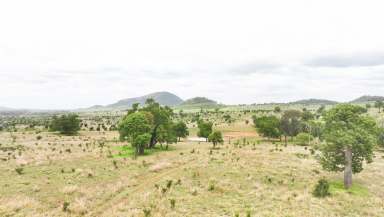 Farm For Sale - QLD - Theodore - 4719 - 'Green Yards' Scotts Road, Theodore Qld 4719  (Image 2)