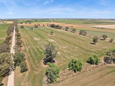 Farm For Sale - VIC - Lockington - 3563 - Well Positioned 123 Acre Irrigation Farm  (Image 2)