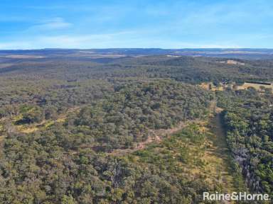 Farm For Sale - NSW - Canyonleigh - 2577 - 900 Acres - Auction Late February 2025  (Image 2)