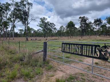 Farm For Sale - QLD - Boondooma - 4613 - LOOKING FOR A LARGE FREEHOLD DEVELOPMENT BLOCK WITHIN 100 KM OF KINGAROY  (Image 2)