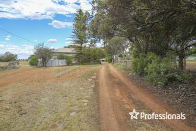 Farm For Sale - VIC - Irymple - 3498 - Ready to Develop with Income  (Image 2)