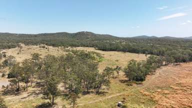 Farm For Sale - QLD - Rodds Bay - 4678 - Selection - Tanti Road, Turkey Beach, Qld - Adjoining Turkey Station Homestead  (Image 2)