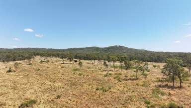 Farm For Sale - QLD - Rodds Bay - 4678 - Selection - Tanti Road, Turkey Beach, Qld - Adjoining Turkey Station Homestead  (Image 2)