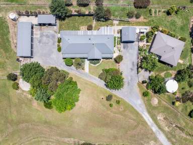 Farm Auction - NSW - Murrumbateman - 2582 - Escape to Murrumbateman: A Dual-Residence Retreat  (Image 2)