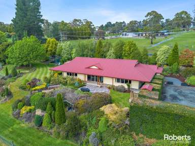 Farm For Sale - TAS - Riverside - 7250 - Semi-Rural Bliss in Riverside  (Image 2)