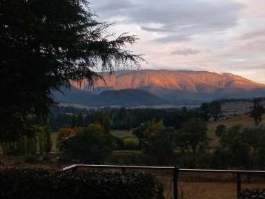 Farm For Sale - VIC - Myrtleford - 3737 - Charming Farm Escape - Mountains Views, Water, Lifestyle and a Self-sufficient future  (Image 2)