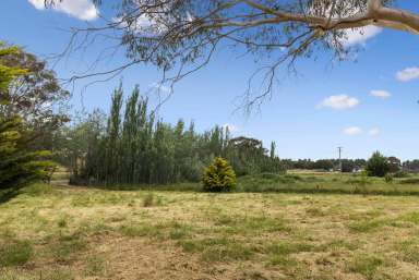 Farm For Sale - NSW - Bywong - 2621 - Shepherd's Park - A Peaceful Retreat  (Image 2)