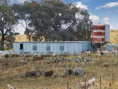 Farm For Sale - NSW - Boorowa - 2586 - Prime Subdivision Opportunity with Massive Potential  (Image 2)