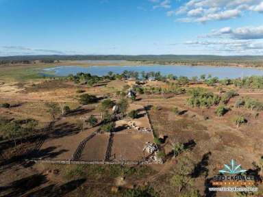 Farm For Sale - QLD - CHARTERS TOWERS - 4820 - Valley of Lagoons, Unique, Productive, Large Scale, Cattle Grazing  (Image 2)