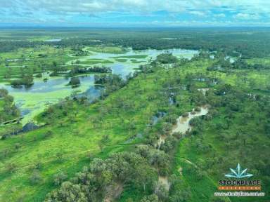 Farm For Sale - QLD - Charters Towers - 4820 - Reedybrook, Premium, Charters Towers grazing property  (Image 2)