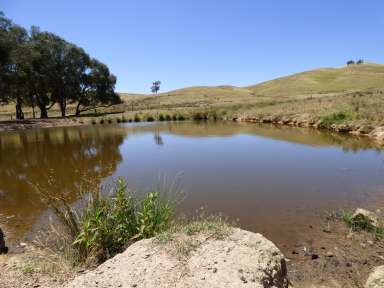 Farm For Sale - VIC - Bobinawarrah - 3678 - Productivity Plus  (Image 2)