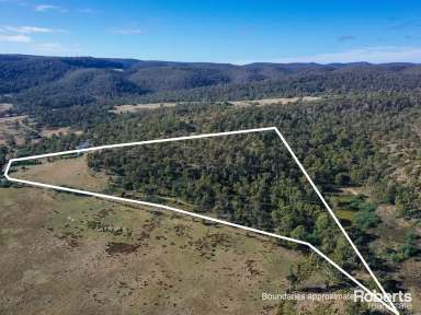 Farm For Sale - TAS - Colebrook - 7027 - Colebrook, your country escape  (Image 2)