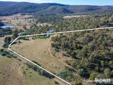 Farm For Sale - TAS - Colebrook - 7027 - Colebrook, your country escape  (Image 2)