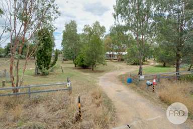 Farm For Sale - NSW - Tamworth - 2340 - 100 Acres close to Tamworth  (Image 2)